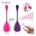 Vibrador Estimulador Clitoris Vagina Con Control Nalone Medy