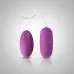 Huevo Bala Vibrador Inalámbrico Control Remoto Vaginal Usb Huevo Bala Vibrador Inalámbrico Control Remoto Vaginal Usb