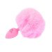 Plug Anal Pompon