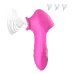 Vibrador Succionador Clitoris Usb Recargable Rosa
