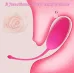 Bala Huevo Vibrador Control Distancia Inalámbrico Usb Rosa Y Violeta