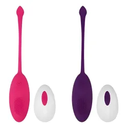 Bala Huevo Vibrador Control Distancia Inalámbrico Usb Rosa Y Violeta