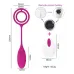 Anillo Vibrador Pene Bala Control Remoto Usb Recargable