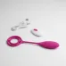 Anillo Vibrador Pene Bala Control Remoto Usb Recargable