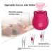 Vibrador Succionador Rosa Flor Clitoris Usb Recargable