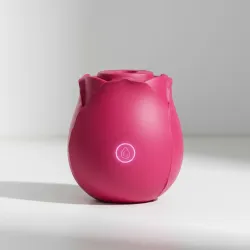 Vibrador Succionador Rosa Flor Clitoris Usb Recargable