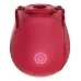 Vibrador Succionador Rosa Flor Clitoris Usb Recargable