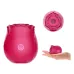 Vibrador Succionador Rosa Flor Clitoris Usb Recargable