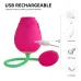 Vibrador Succionador Clítoris Flor Rosa Recargable Vibrador Succionador Clítoris Flor Rosa Recargable