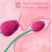 Vibrador Succionador Clítoris Flor Rosa Recargable Vibrador Succionador Clítoris Flor Rosa Recargable
