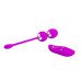 Bala Vibrador Kegel Con Control Willie