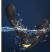 Vibrador Prostático Anal Control Remoto Usb 10 Modos Negro